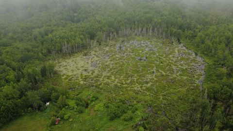 Tiny photo for 48 52 Map PE036 Plan 03 Lot 48 52, Kingman Twp, ME 04451 (MLS # 1650743)