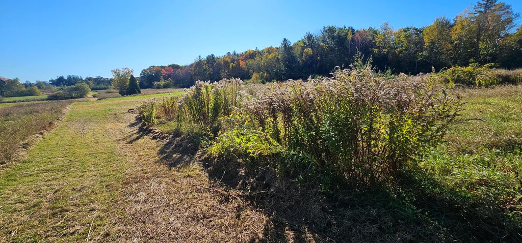 Photo of 0 Hotel Road, Auburn, ME 04210 (MLS # 1642623)