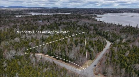 Photo of M24 L9B-10 Merganser Drive, Gouldsboro, ME 04607 (MLS # 1659454)