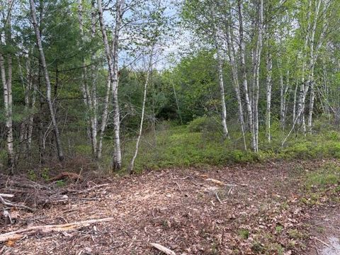 Photo of Lot #8 Thayer Road, Waltham, ME 04605 (MLS # 1662895)