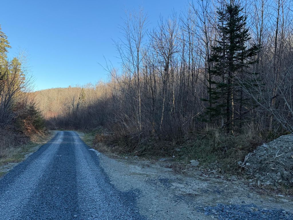 Photo of M5 L46D Black Bear Avenue, Frenchville, ME 04745 (MLS # 1652558)