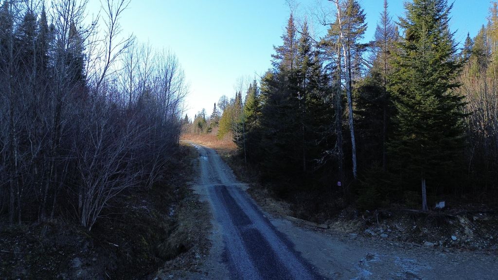 Photo of M5 L46D Black Bear Avenue, Frenchville, ME 04745 (MLS # 1652558)