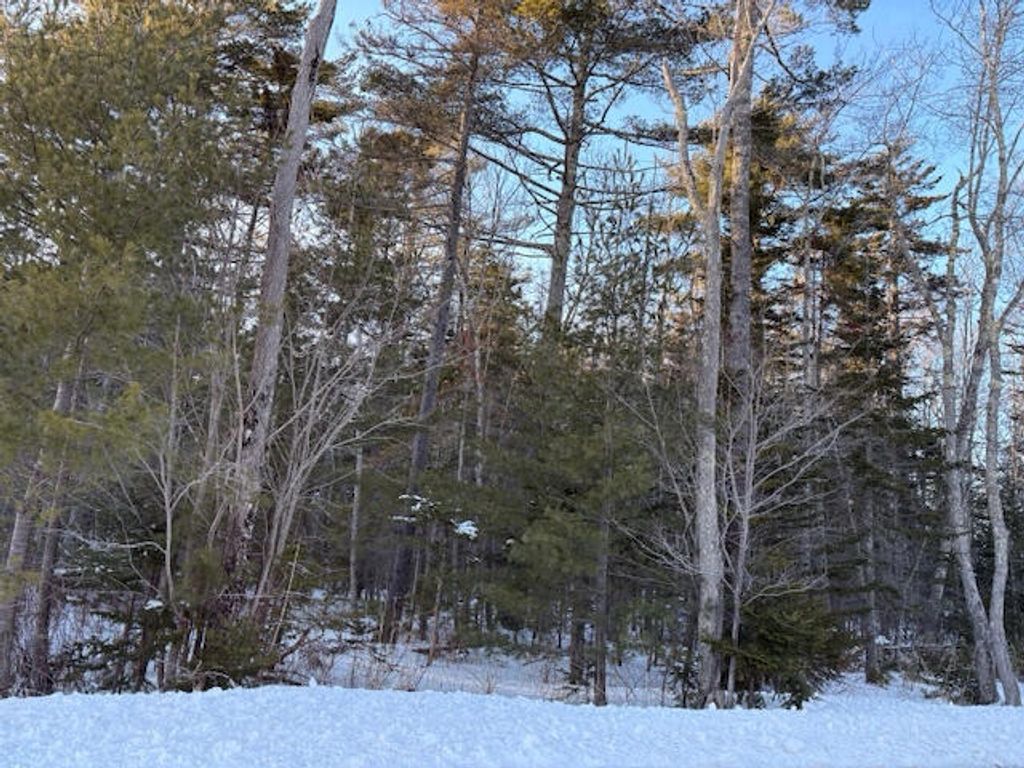 Photo of 0 Heritage Drive, Owls Head, ME 04854 (MLS # 1652924)