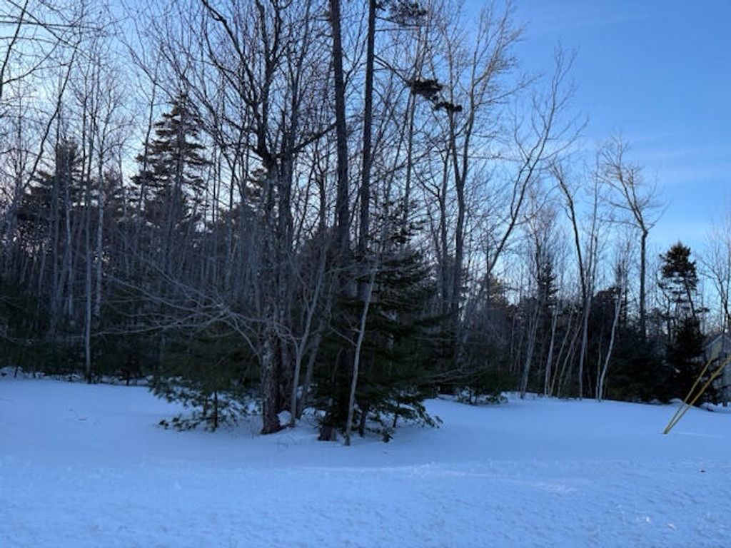 Photo of 0 Heritage Drive, Owls Head, ME 04854 (MLS # 1652924)