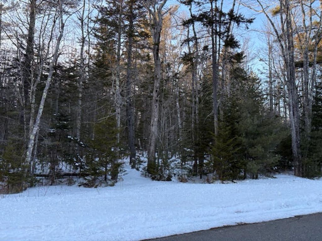 Photo of 0 Heritage Drive, Owls Head, ME 04854 (MLS # 1652924)