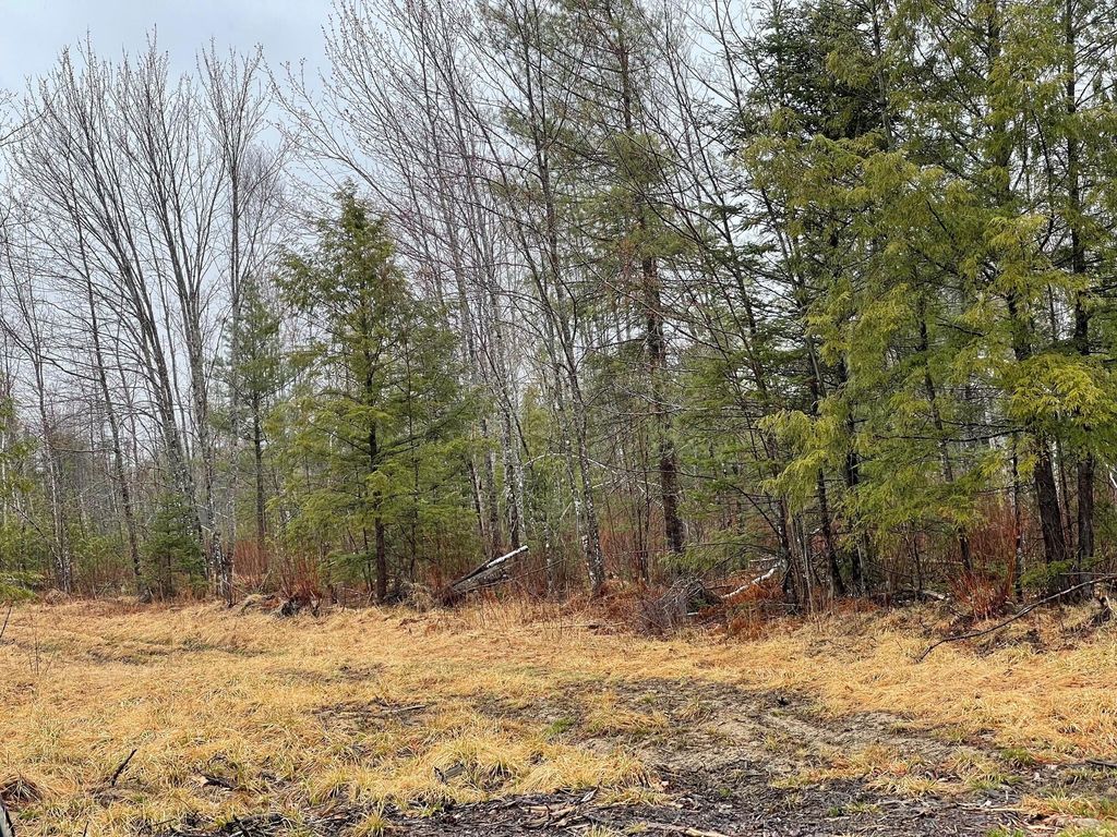 Photo of 4 Mattamiscontis Road, Howland, ME 04448 (MLS # 1660541)