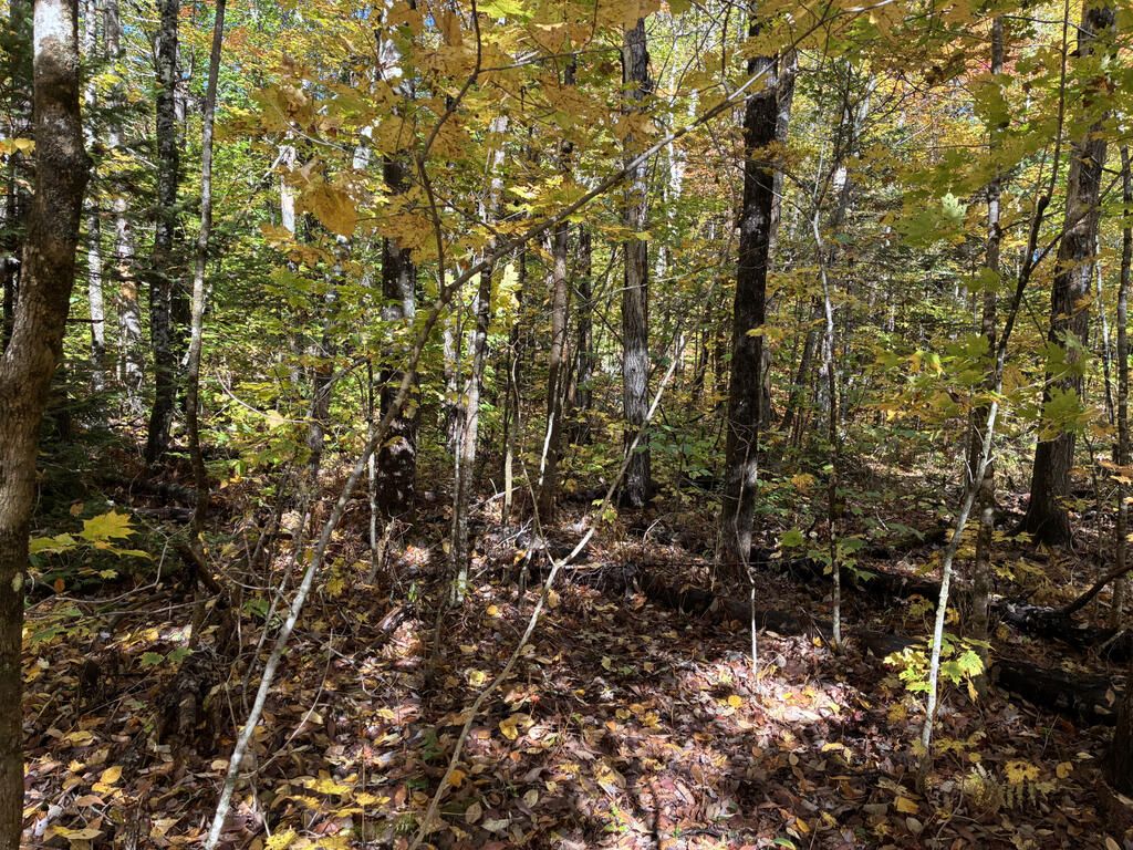 Photo of Lot 015 Intervale Road, Temple, ME 04984 (MLS # 1639793)