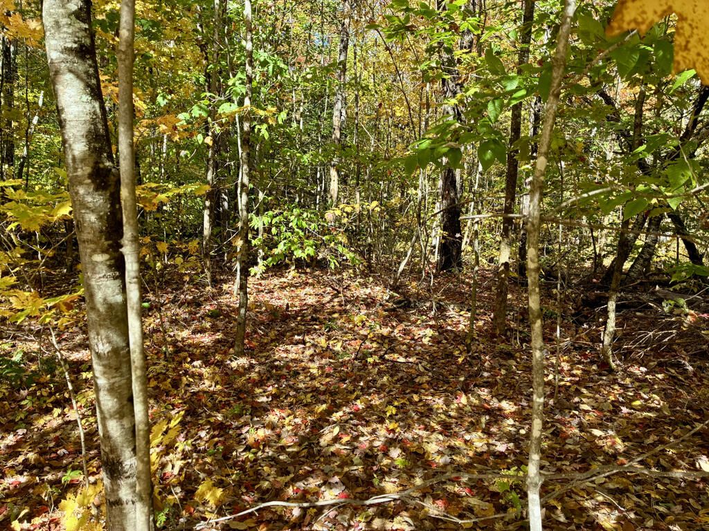 Photo of Lot 015 Intervale Road, Temple, ME 04984 (MLS # 1639793)
