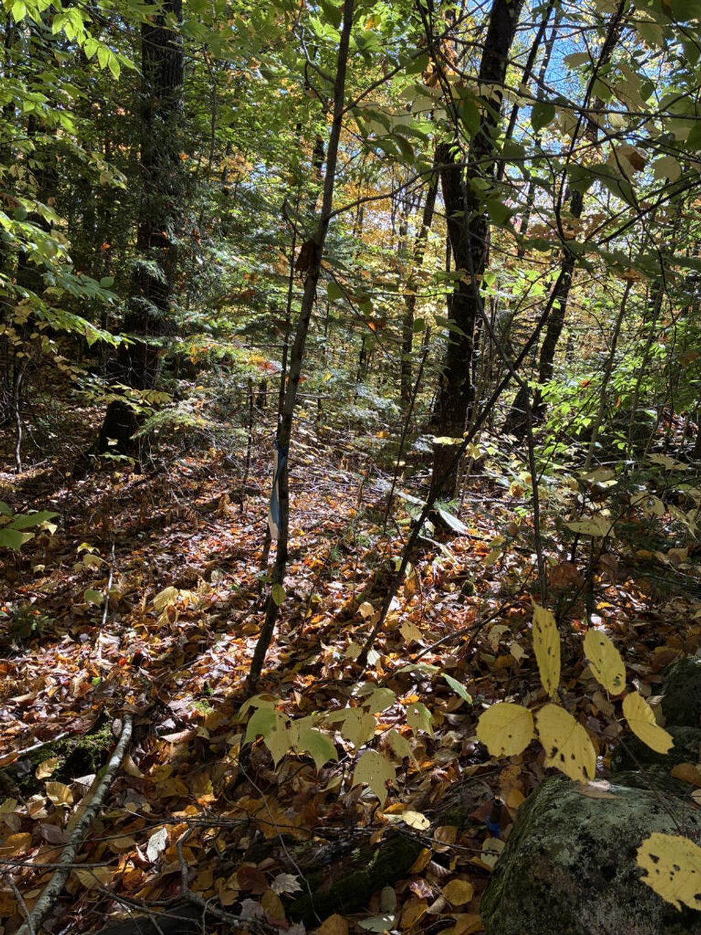 Photo of Lot 015 Intervale Road, Temple, ME 04984 (MLS # 1639793)