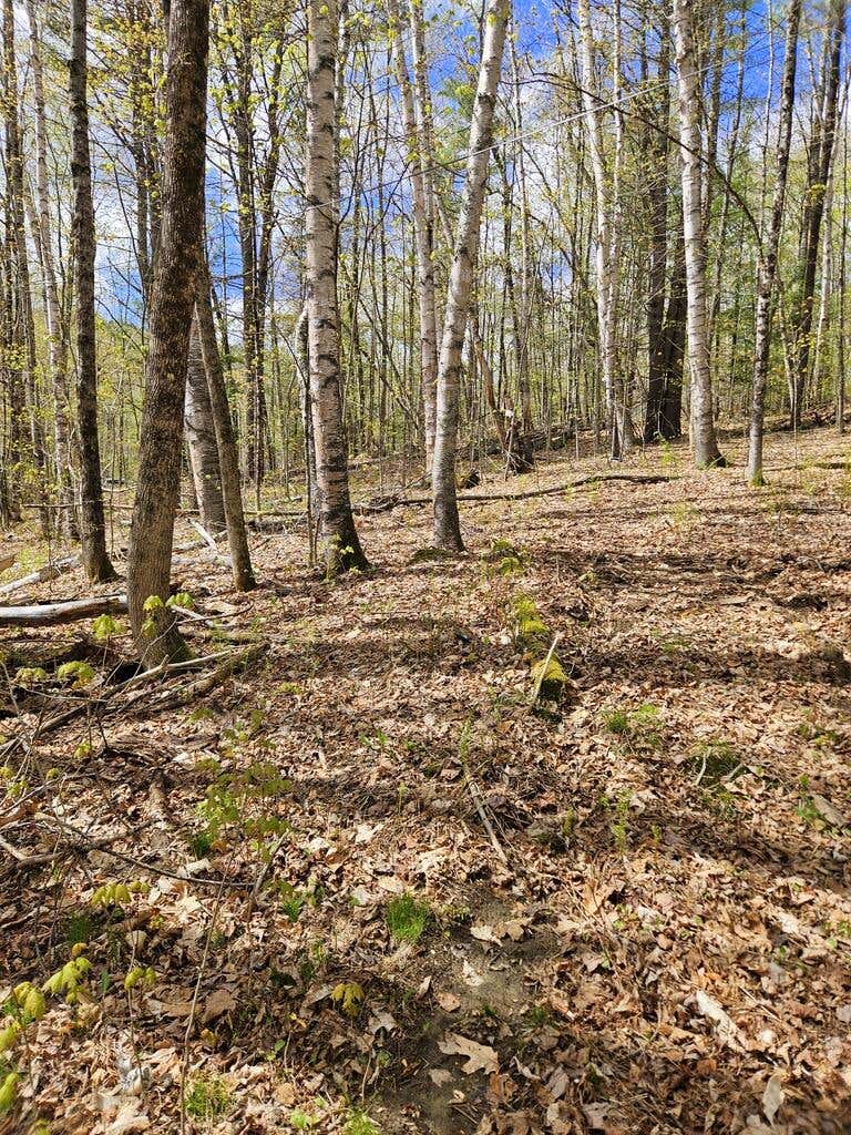 Photo of Lot 23 Edes Brook Road, Temple, ME 04984 (MLS # 1661940)
