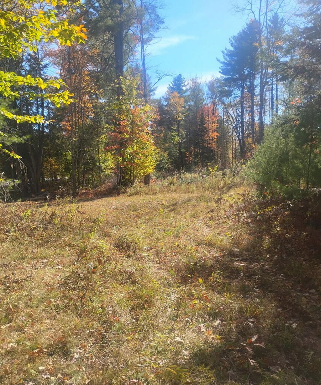Photo of Lot 18&amp;20 Carrabassett Road, New Portland, ME 04961 (MLS # 1640189)