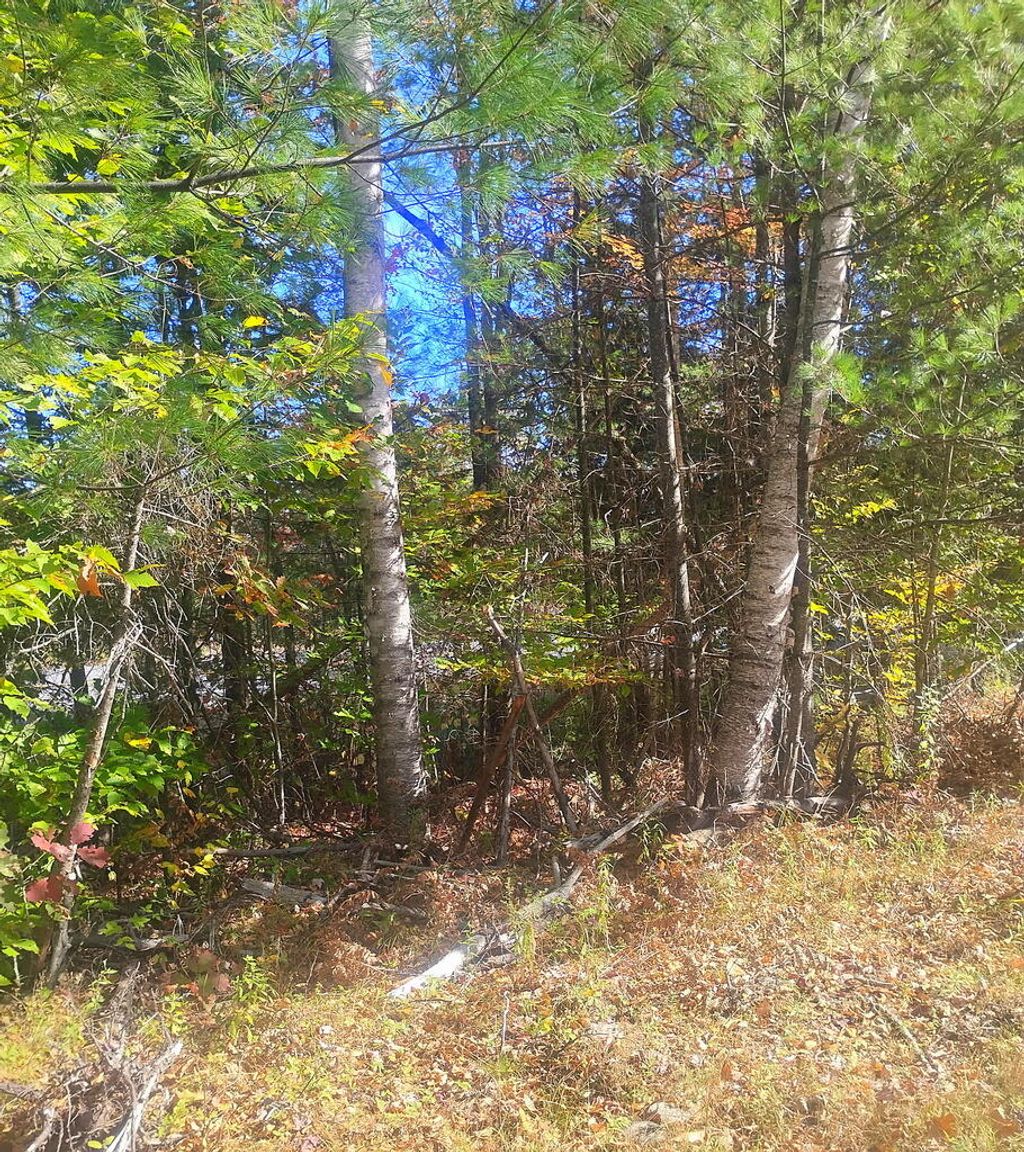 Photo of Lot 18&amp;20 Carrabassett Road, New Portland, ME 04961 (MLS # 1640189)