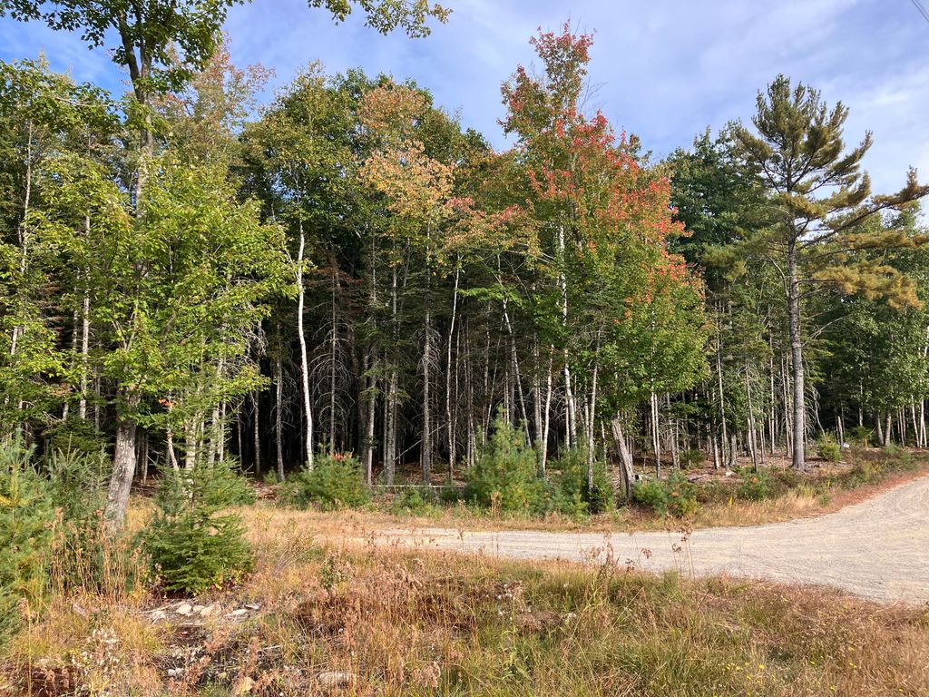 Photo of Lot 5 Bluff Road, Bar Harbor, ME 04609 (MLS # 1639532)