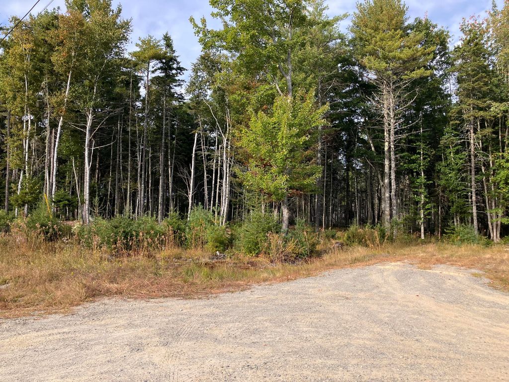 Photo of Lot 5 Bluff Road, Bar Harbor, ME 04609 (MLS # 1639532)