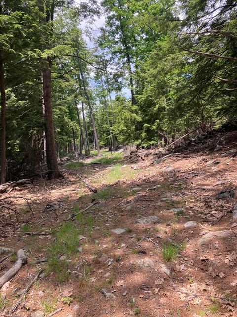 Photo of 000 Hope Road, Lincolnville, ME 04849 (MLS # 1648730)