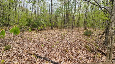 Photo of Lot 019 Olivewood Circle, Wilton, ME 04294 (MLS # 1662323)
