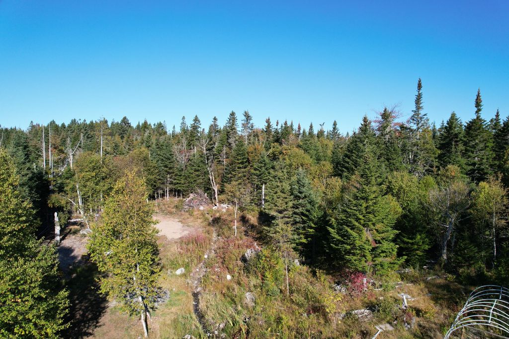 Photo of Lot 25 H Boot Cove Road, Lubec, ME 04652 (MLS # 1639813)