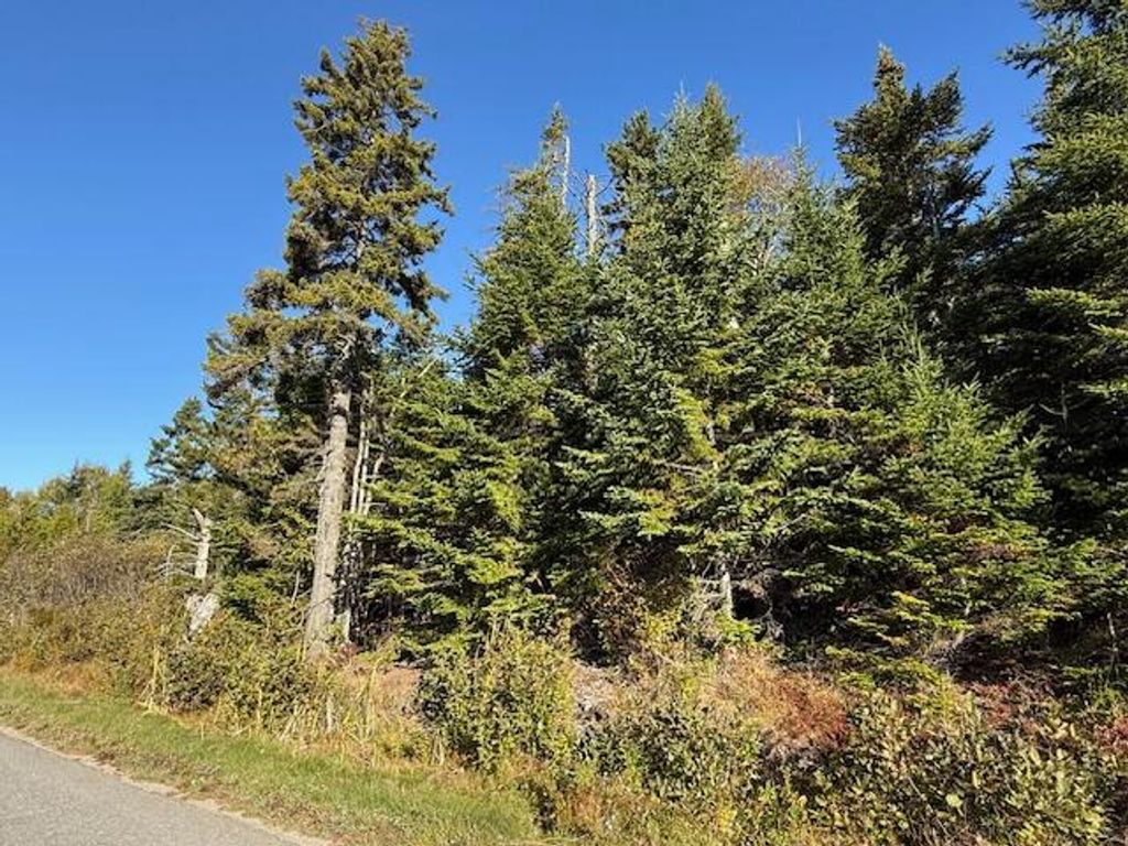 Photo of Lot 25 H Boot Cove Road, Lubec, ME 04652 (MLS # 1639813)