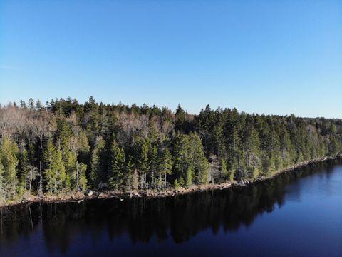 Photo of Lot 6&66 Woods Road, Deer Isle, ME 04627 (MLS # 1659497)
