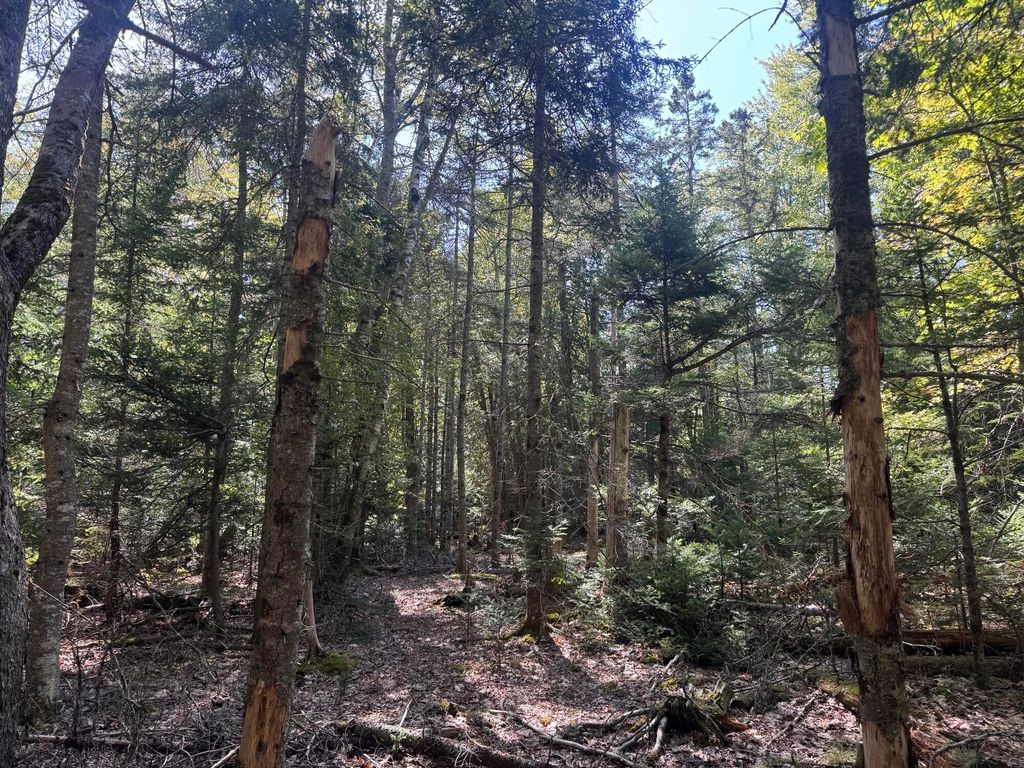 Photo of 1730 Main Street, Harrington, ME 04643 (MLS # 1641862)