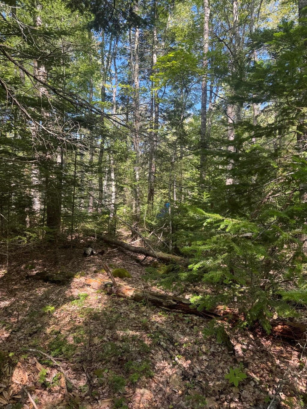 Photo of 1730 Main Street, Harrington, ME 04643 (MLS # 1641862)