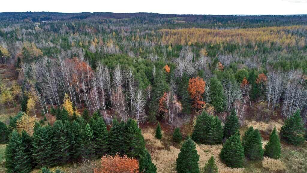 Lot 18 US RT 2 Highway