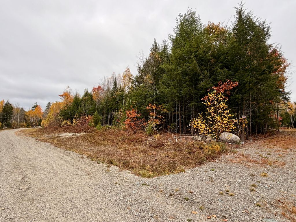 Photo of 45 Bass Overlook, Waltham, ME 04605 (MLS # 1641372)