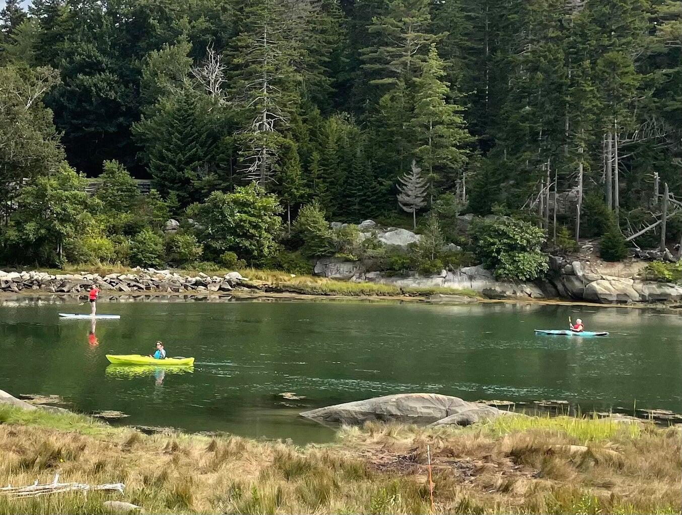 156 Scraggle Point Road