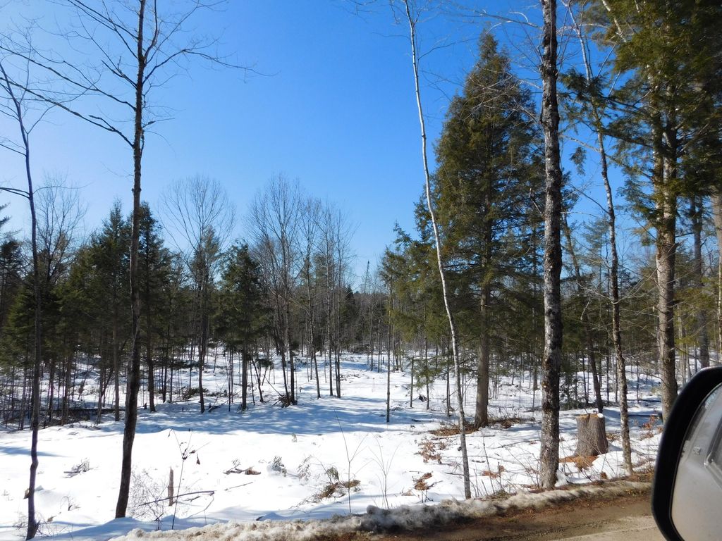 Photo of Lot # 4 Spring Bridge Road, Greenbush, ME 04418 (MLS # 1652547)