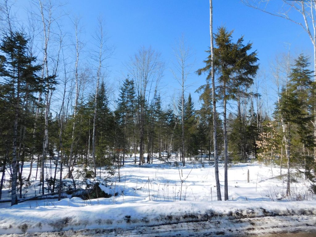 Photo of Lot # 4 Spring Bridge Road, Greenbush, ME 04418 (MLS # 1652547)