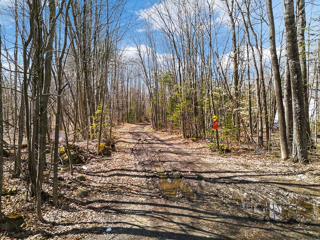 Photo of Lot 6 Off Norridgewock Road, Fairfield, ME 04937 (MLS # 1658044)