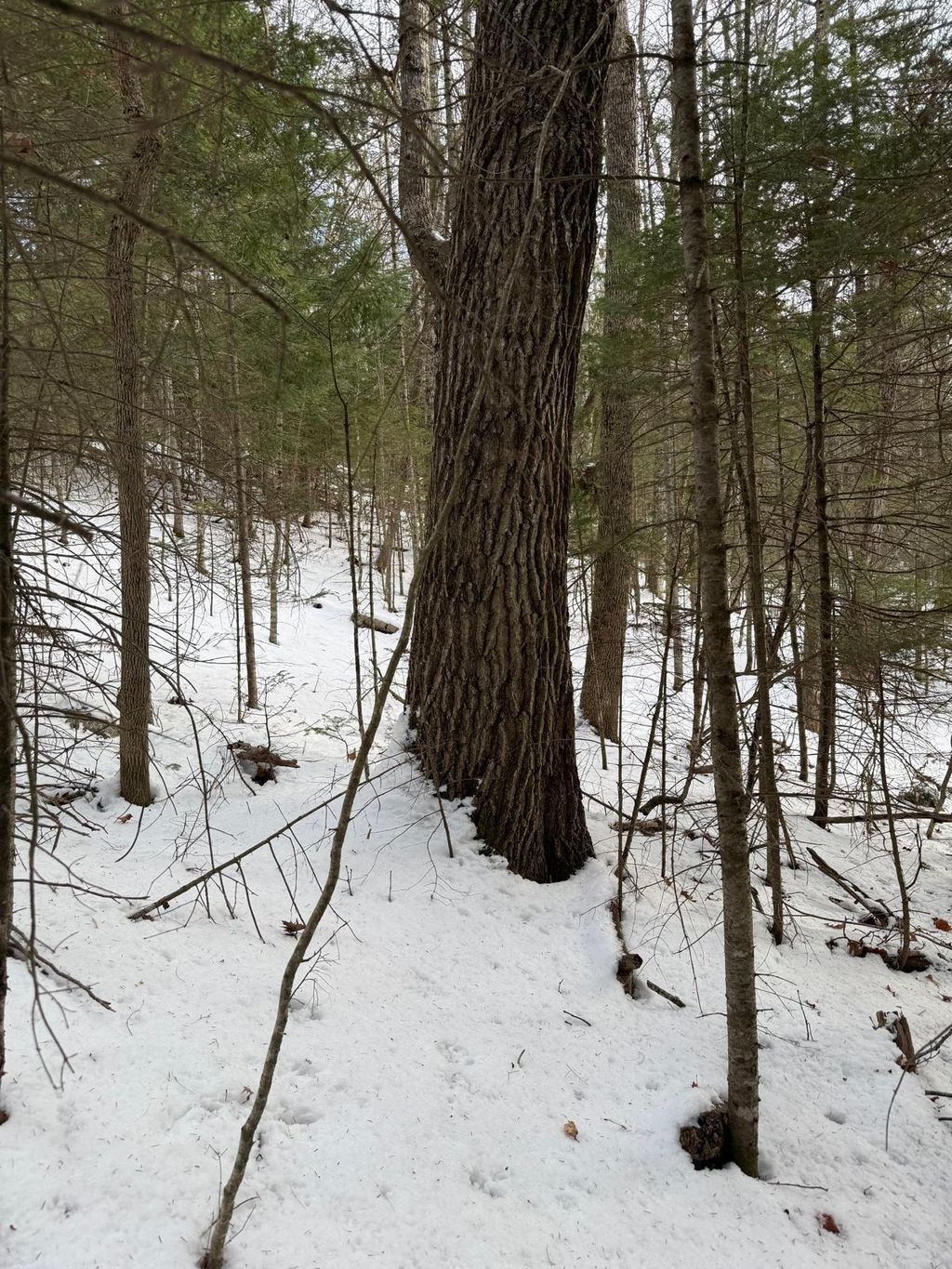 Photo of 1088 Center Drive, Orrington, ME 04474 (MLS # 1649152)