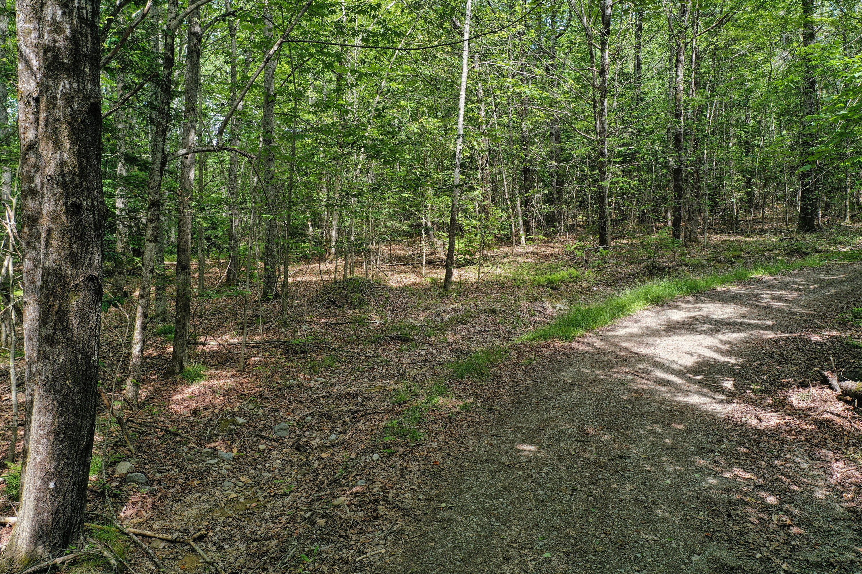 M5 L24 Goosepecker Ridge