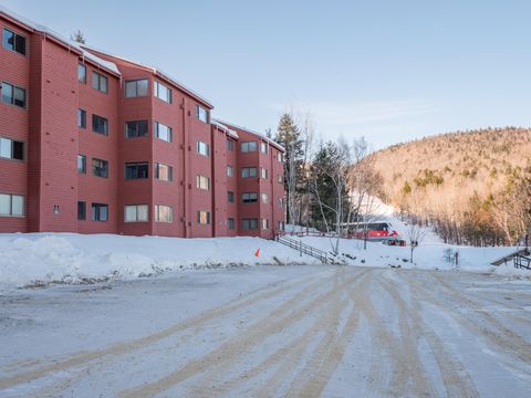 Photo of 376 Skiway Road #107, Newry, ME 04261 (MLS # 1629328)
