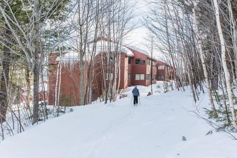 Photo of 376 Skiway Road #107, Newry, ME 04261 (MLS # 1629328)