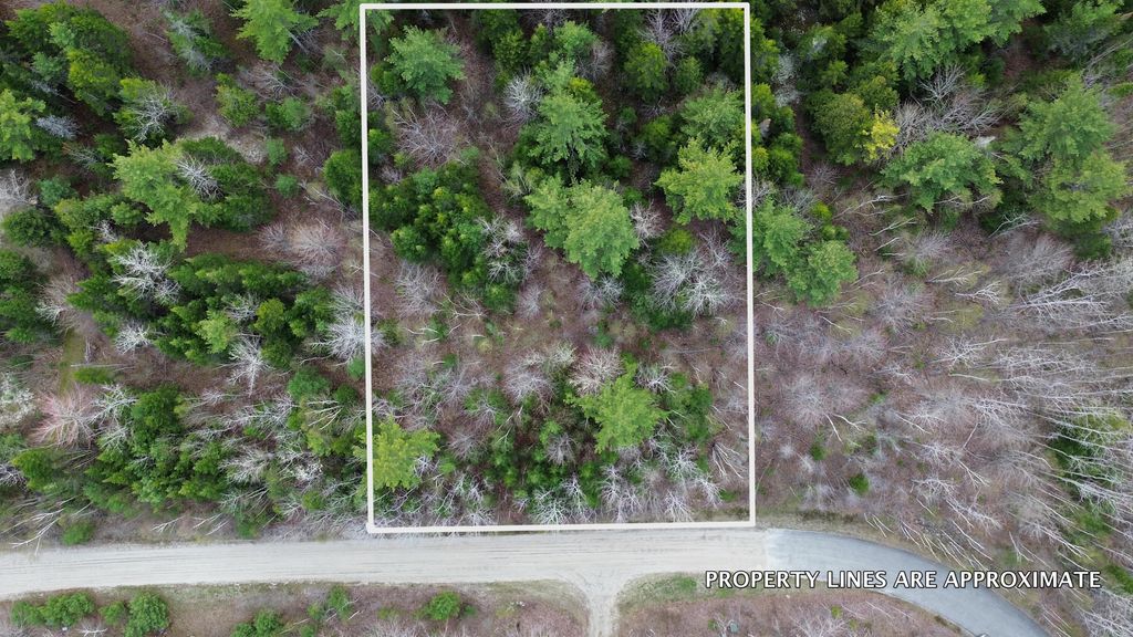 Photo of Lot 1 Bailey Mountain Road, Franklin, ME 04634 (MLS # 1661532)