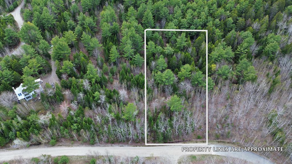 Photo of Lot 1 Bailey Mountain Road, Franklin, ME 04634 (MLS # 1661532)