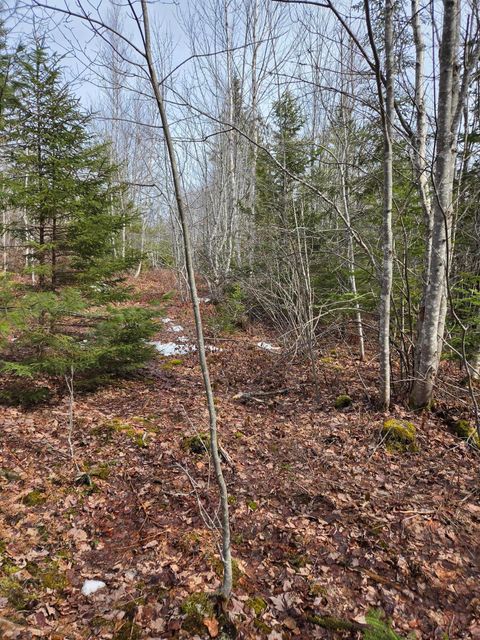 Photo of 0 lots 3&4 Northfield Road, Marshfield, ME 04654 (MLS # 1654803)