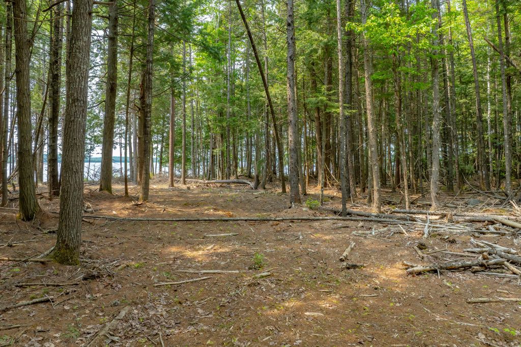 Photo of 80 Bufford Drive, Waltham, ME 04605 (MLS # 1655821)