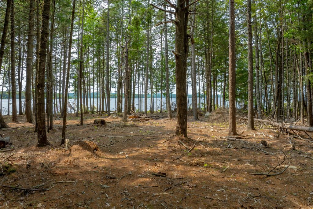 Photo of 80 Bufford Drive, Waltham, ME 04605 (MLS # 1655821)