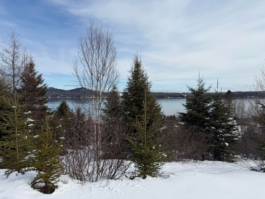 Photo of M6 L60-65 Gravel Road, Robbinston, ME 04671 (MLS # 1651988)