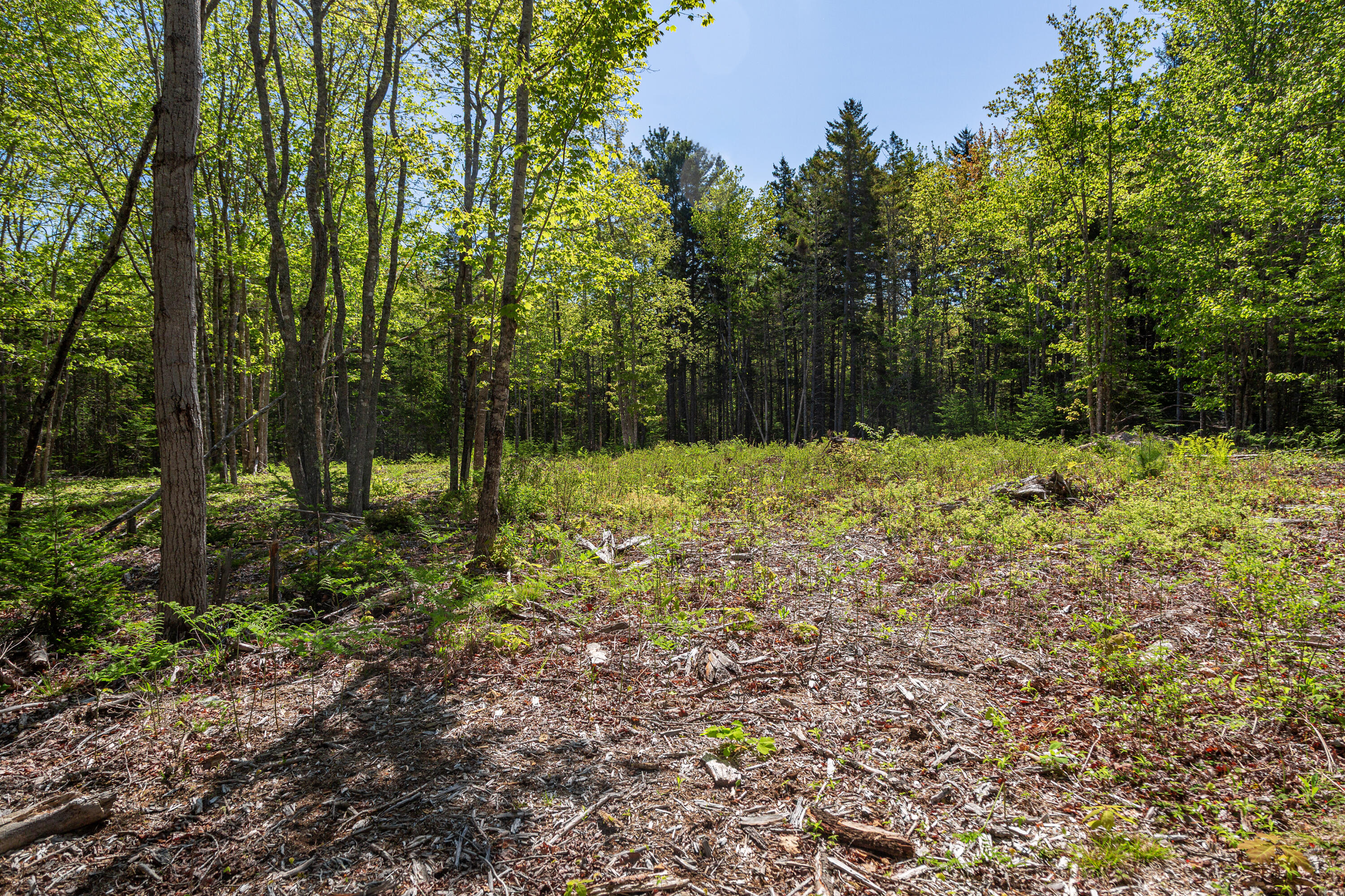Lot 79-01 Knox Road