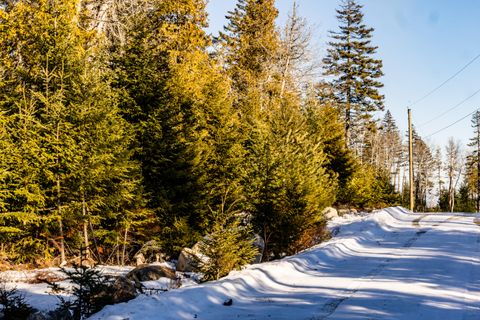 Photo of Lot 10 4R2 Pine Cone Lane, Surry, ME 04684 (MLS # 1649249)
