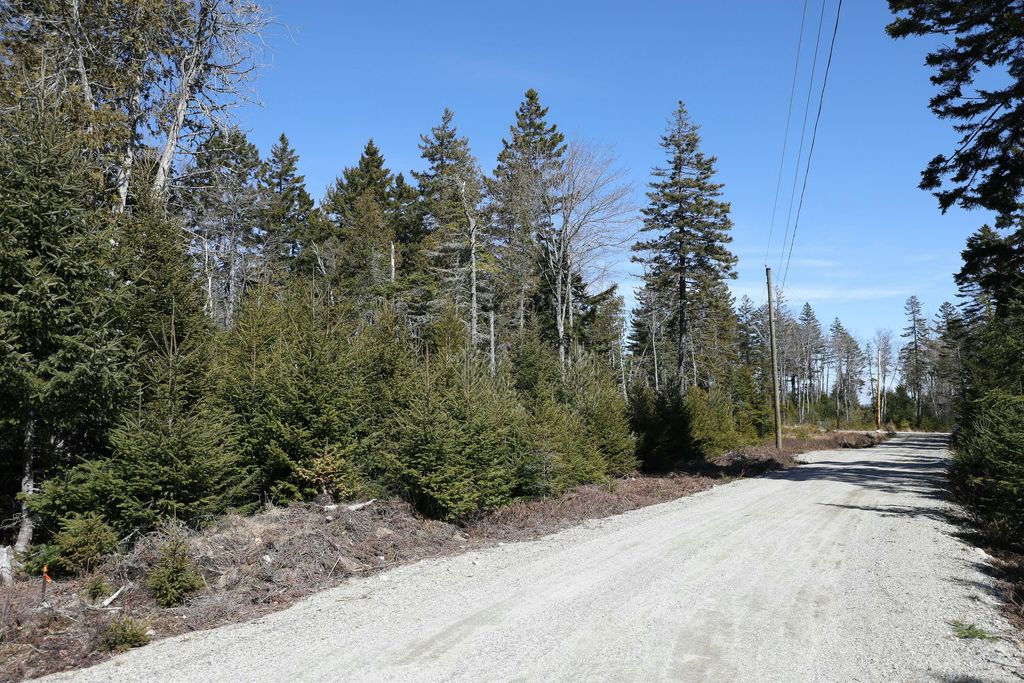 Photo of Lot 10 4R2 Pine Cone Lane, Surry, ME 04684 (MLS # 1649249)