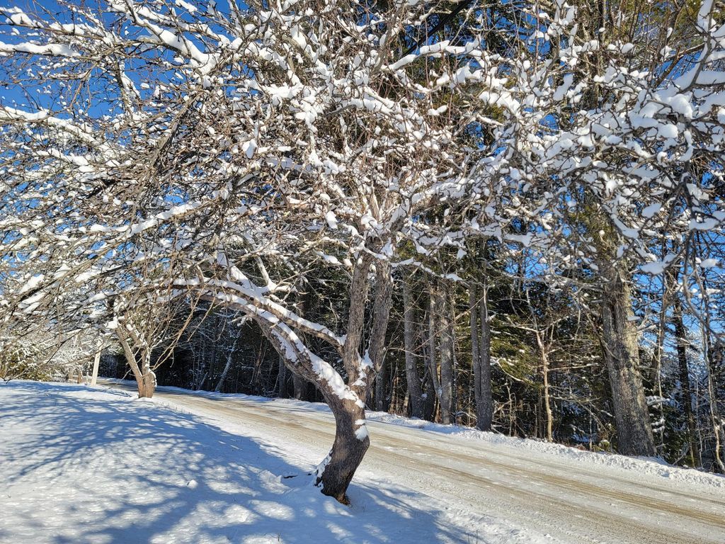 Photo of 4-8 Macomber Mill Road, Eastbrook, ME 04634 (MLS # 1650160)