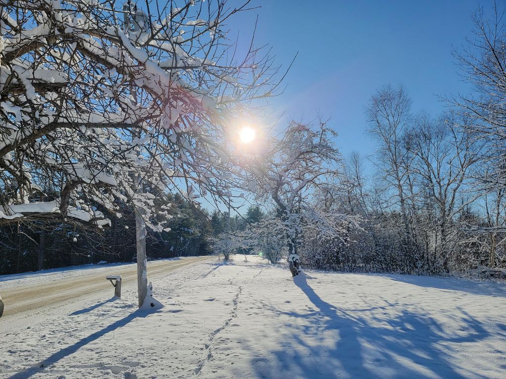 Photo of 4-8 Macomber Mill Road, Eastbrook, ME 04634 (MLS # 1650160)