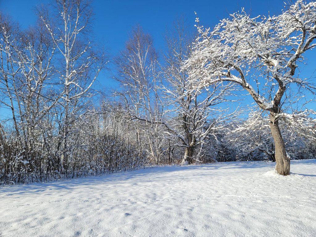 Photo of 4-8 Macomber Mill Road, Eastbrook, ME 04634 (MLS # 1650160)