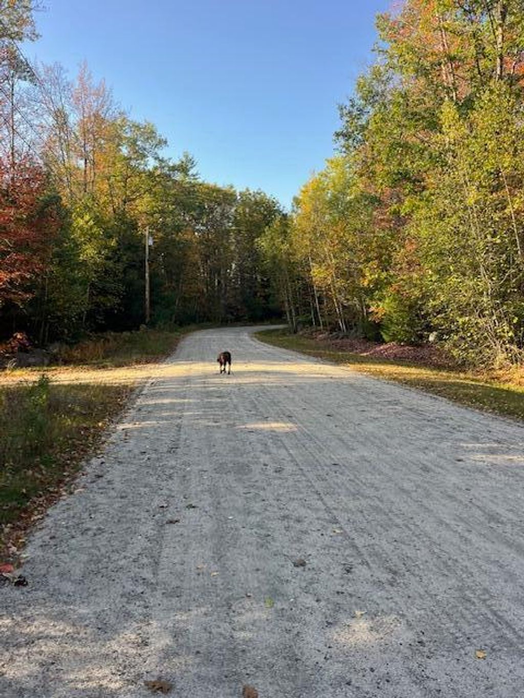Photo of Lot 22 Taylor Woods Road, Bethel, ME 04217 (MLS # 1639378)