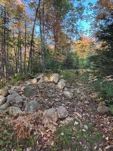Photo of Lot 22 Taylor Woods Road, Bethel, ME 04217 (MLS # 1639378)