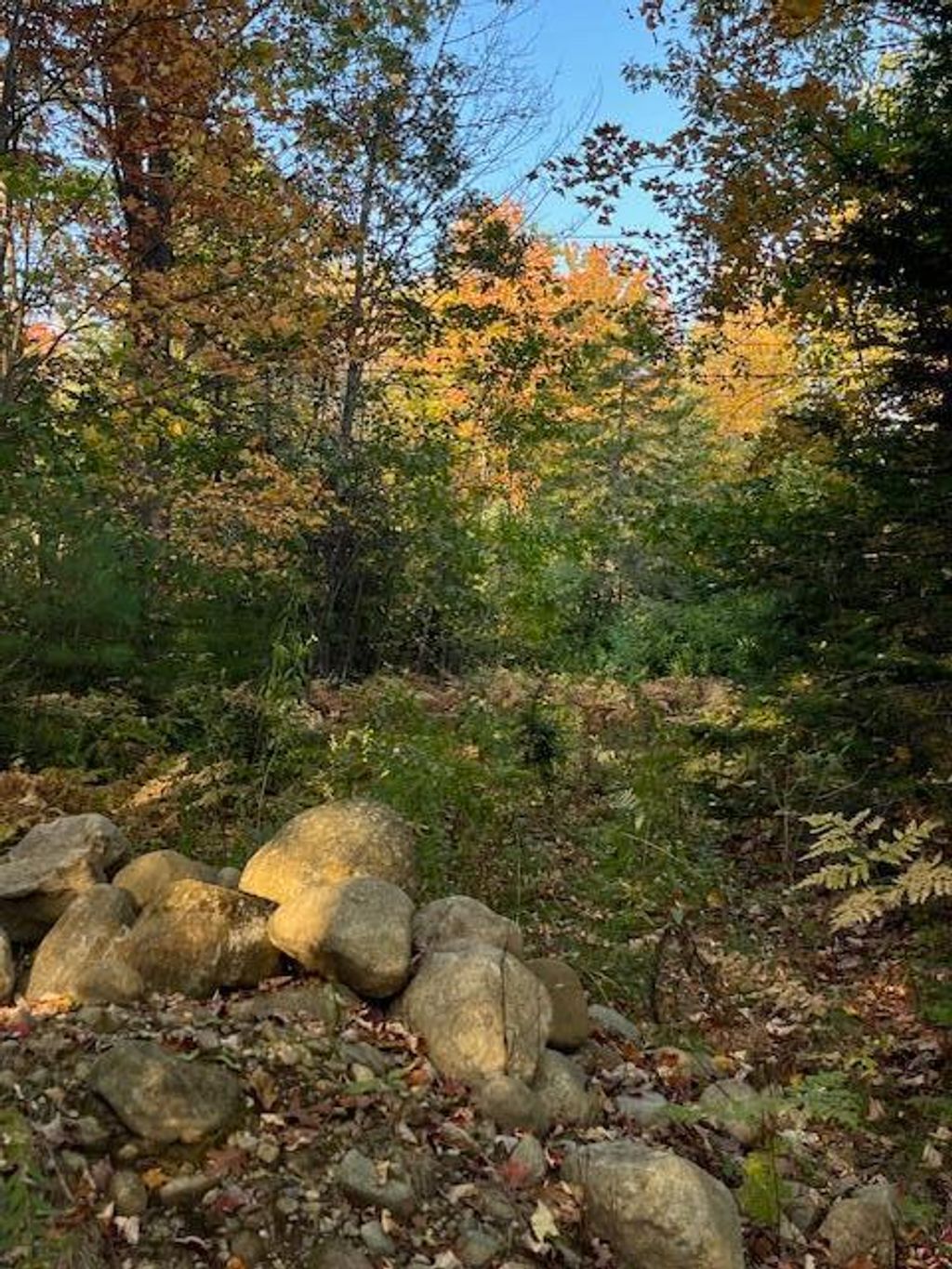 Photo of Lot 22 Taylor Woods Road, Bethel, ME 04217 (MLS # 1639378)